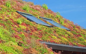 Garn Yr Erw living roof systems